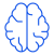 Brain icon